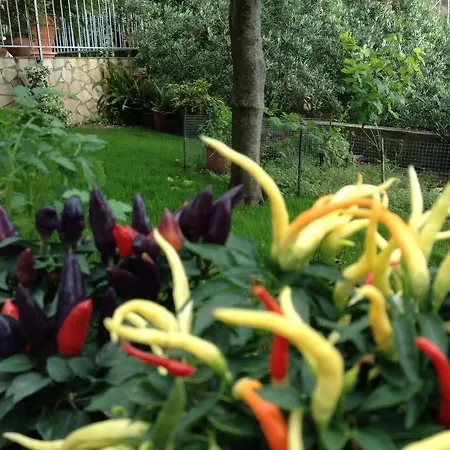 Bed & Breakfast Dei Fiori 4*