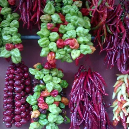 Dei Fiori Praia a Mare