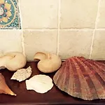 Dei Fiori 住宿加早餐酒店 普拉亚·阿马勒