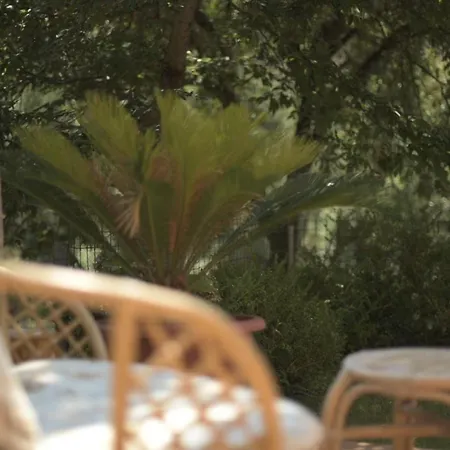 Couette-café Dei Fiori Praia a Mare