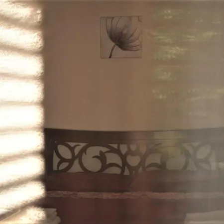 Dei Fiori Praia a Mare