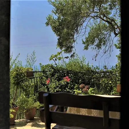 Dei Fiori