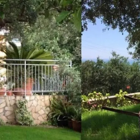 Dei Fiori Bed & Breakfast Praia a Mare