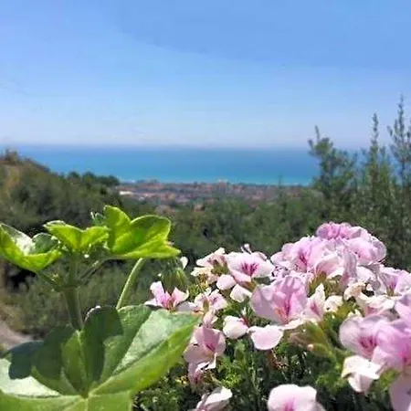 Dei Fiori 4*