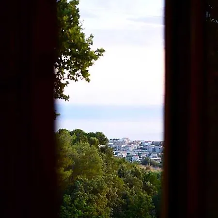 Panzió Dei Fiori 4*