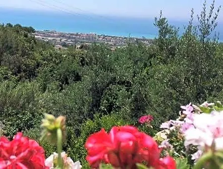 Dei Fiori 4*