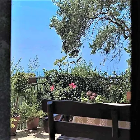 Panzió Dei Fiori 4*