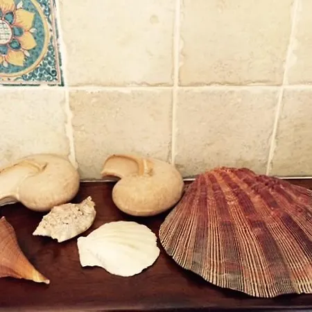 Dei Fiori Panzió Praia a Mare