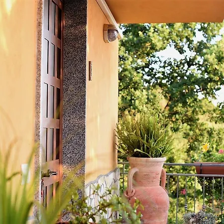 Dei Fiori